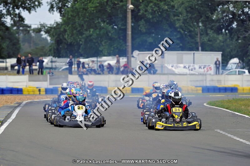 DSC_ (1712).jpg